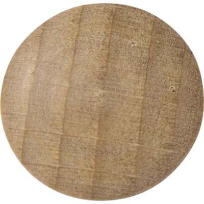 LEGAMASTER WOODEN Magnet 25mm 5St, Holz, FSC 100%, 25 mm, 25 mm, 15,5 mm, 49,8 g 7-181725