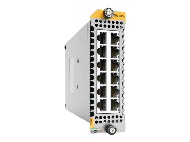 Allied Telesis AT-XEM2-12XTM - Erweiterungsmodul - 1/2.5/5/10GBase-T x 12 - für P/N: 3868R