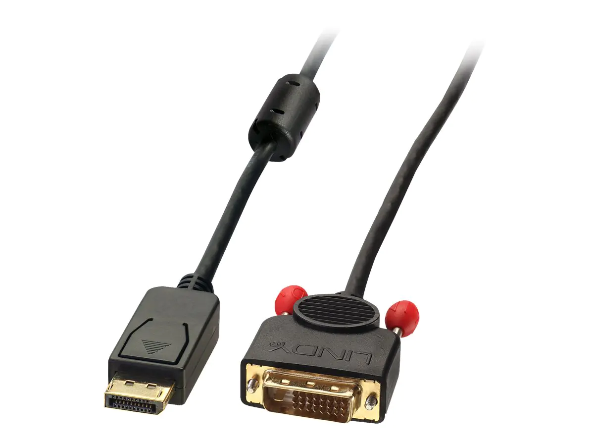 Lindy - Videokabel - DisplayPort (M) bis DVI-D (M) - 50 cm - Daumenschrauben - Schwarz