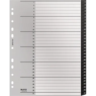 Leitz Register Recycle 12090000 A4 1-12 schwarz