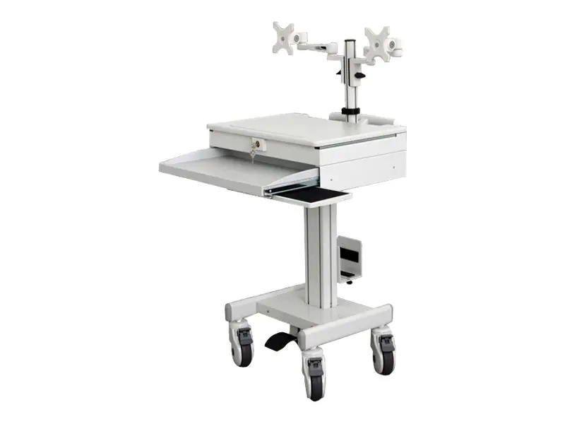 ROLINE - Wagen für 2 LCD-Displays / Tastatur / Maus / PC / Notebook - verriegelbar - medizinisch