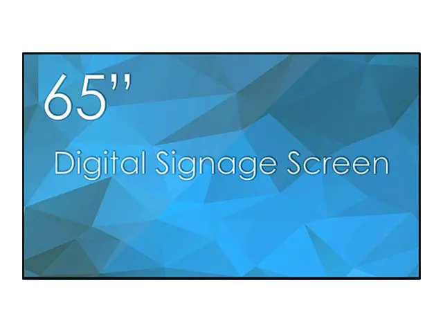 Swedx SDS65K8-01 - 165 cm (65") Diagonalklasse K8 Series LCD-Display mit LED-Hintergrundbeleuchtung - Digital Signage - 4K UHD (2160p)