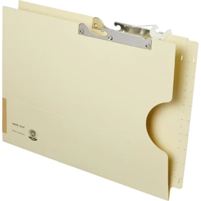 Leitz Pendelmappe Orgacolor® DIN A4 320g/m² Kraftkarton, recycelt chamois 25 St./Pack.
