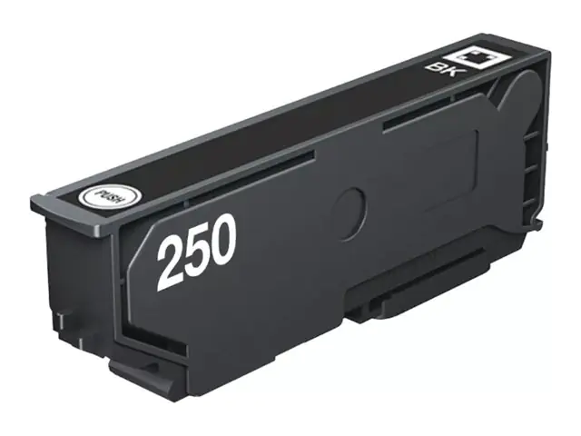 Epson 250 - 5.3 ml - Schwarz - original - Blister mit RF