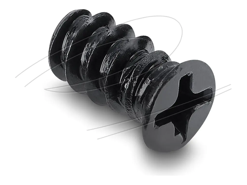 Delock Schrauben-Kit - M5 x 10 mm - Schwarz (Packung mit 50) 60990
