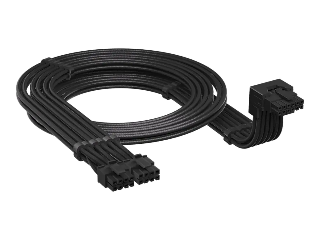 Corsair Type 5 (Style A) - Stromkabel - PCI Express 16-polig (M)