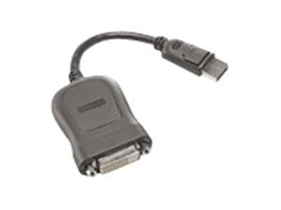 Lenovo - DVI-Kabel - Single Link - DisplayPort (M) zu DVI-D (W) - 20 cm - Grau - für ThinkCentre M70; M70s Gen 3; M720; M75t Gen 2; M80; M90; M920; ThinkStation P360; V50t-13