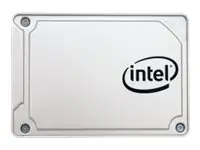 Intel Solid-State Drive DC S3110 Series - 256 GB SSD - intern - 2.5" (6.4 cm)