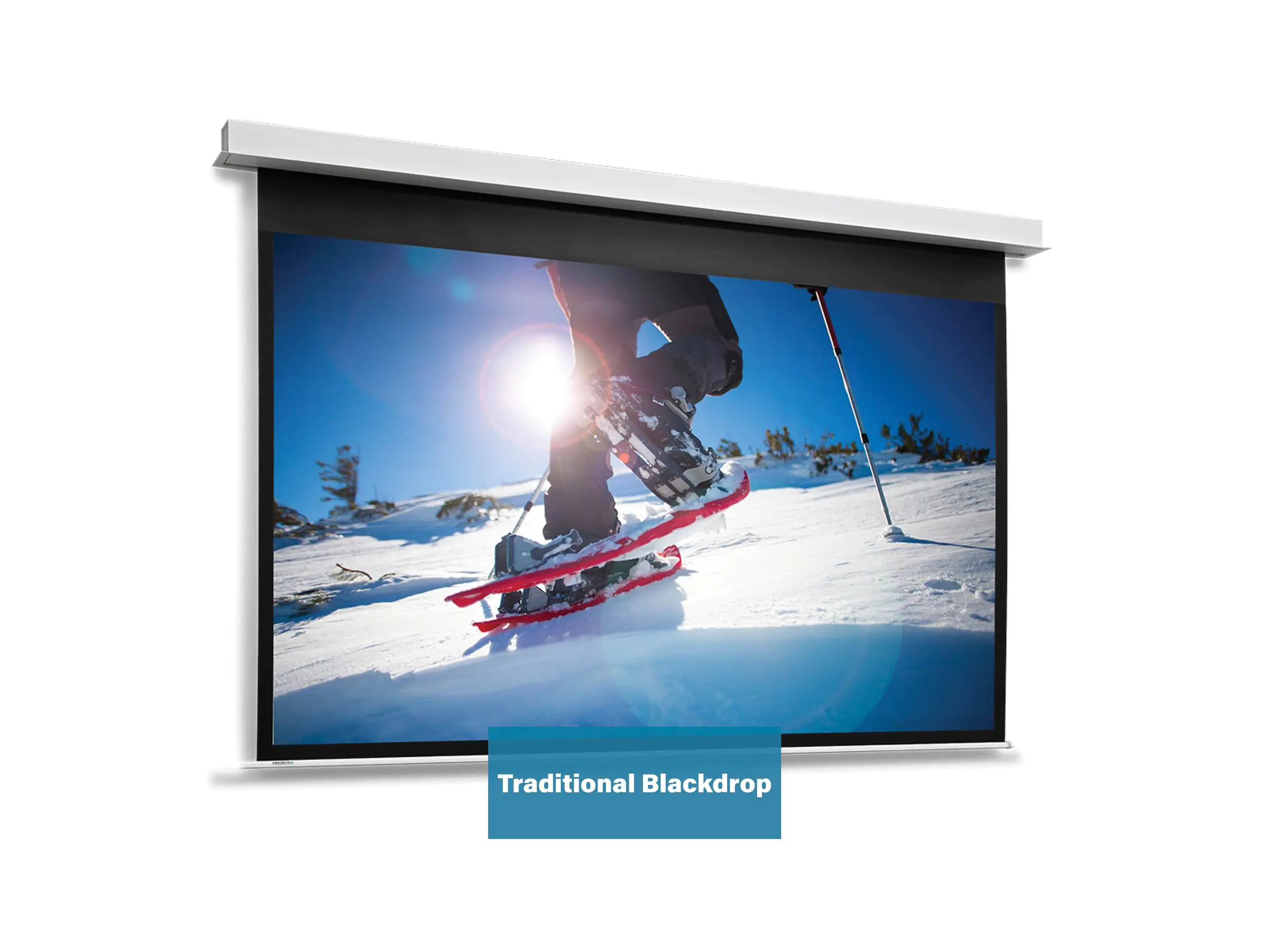 Projecta Da-Lite DescenderPro - Leinwand - Deckenmontage möglich - motorisiert - 230 V - 413