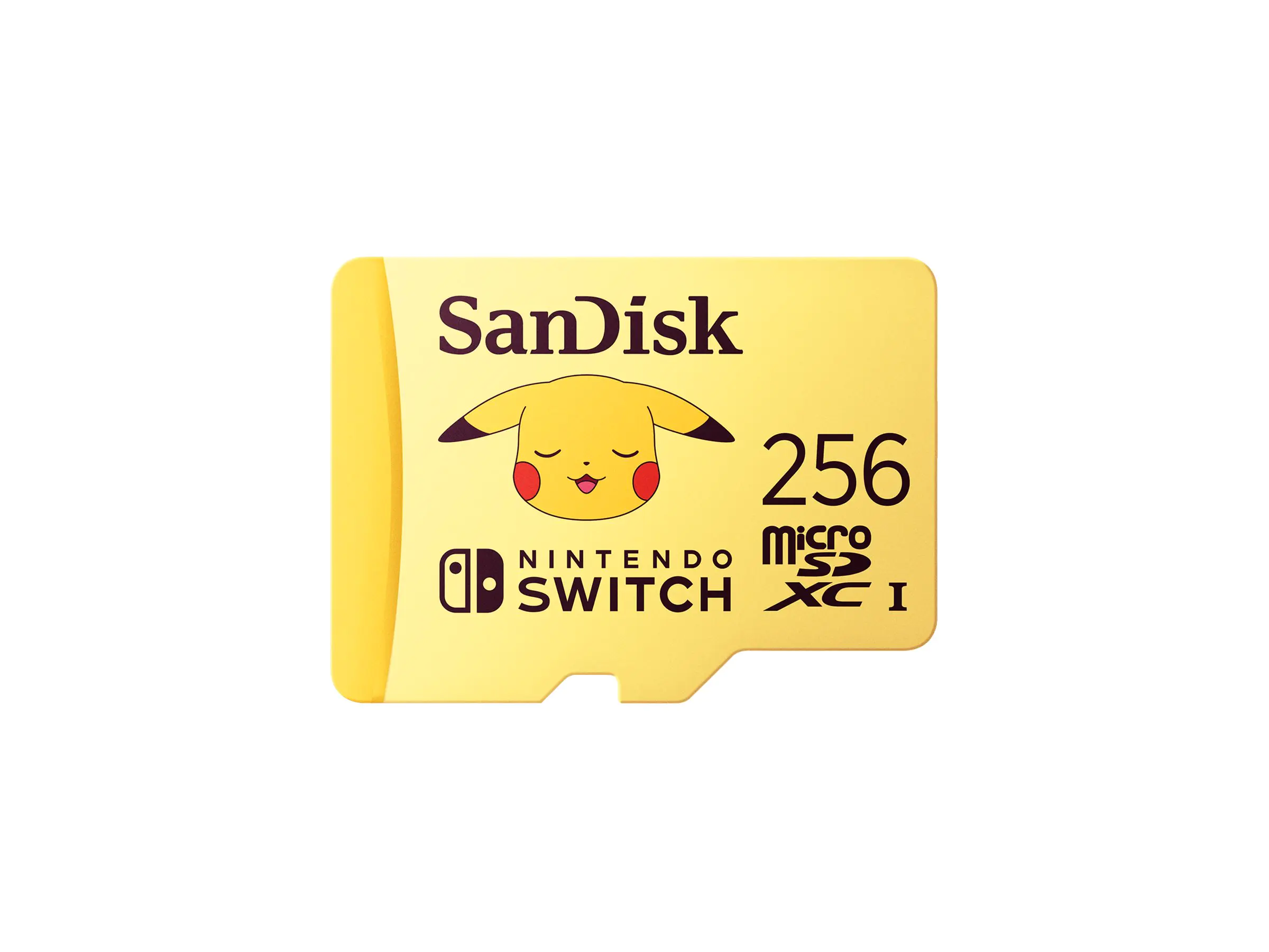 SanDisk Flash-Speicherkarte - 256 GB - Video Class V30 / UHS-I U3