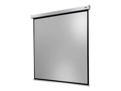celexon Electric Professional Plus Square format - Leinwand - Deckenmontage möglich, geeignet für