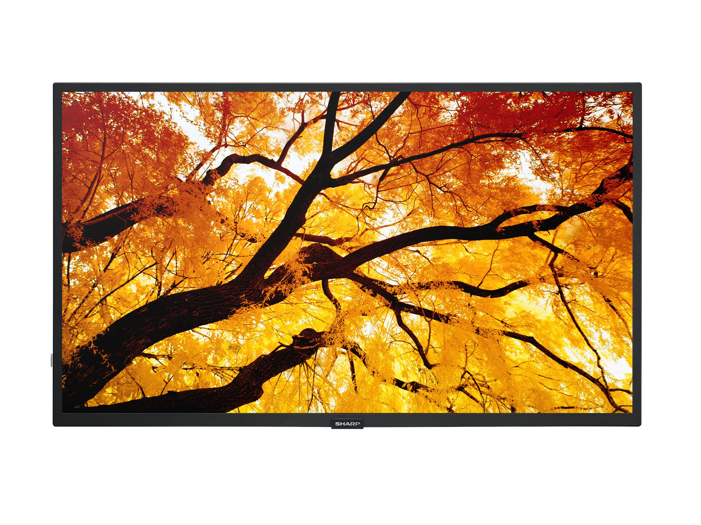 Sharp MultiSync M322 - 80 cm (32") Diagonalklasse M Series LCD-Display mit LED-Hintergrundbeleuchtung 60006052