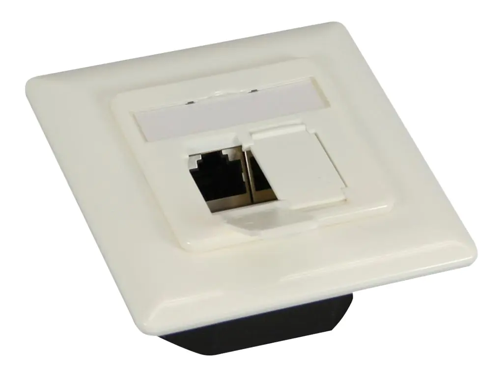 InLine - Wanddose - CAT 6 - STP - RJ-45 X 2 - weiß, RAL 9010