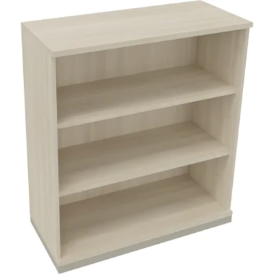 Regal 3OH B1000xT442xH1133mm Silberaluminium/Akazie hell