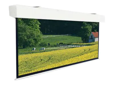 Projecta Elpro Large Electrol Wide Format - Leinwand - Deckenmontage möglich - motorisiert - 460 cm (181") 10140336