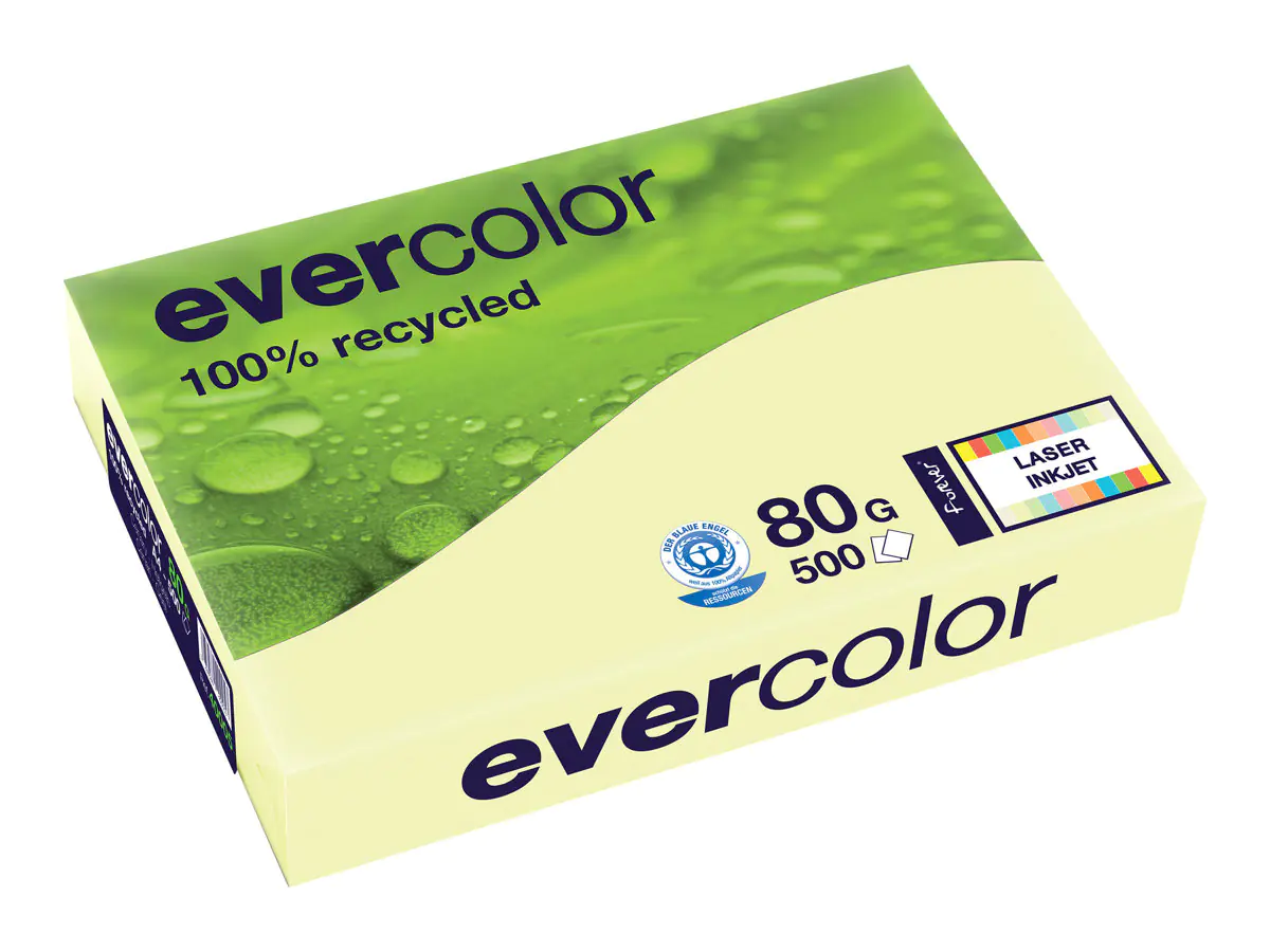 Exacompta Clairefontaine Evercolor - Kanariengelb - A4 (210 x 297 mm) 40005C