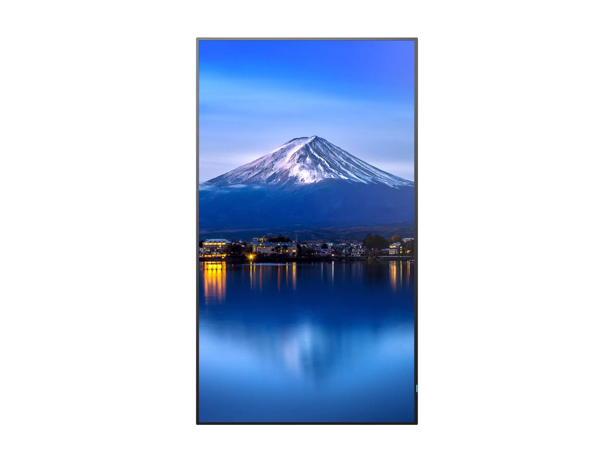 Sharp MultiSync PN-P556 - 140 cm (55") Diagonalklasse (138.8 cm (54.6") PNP556