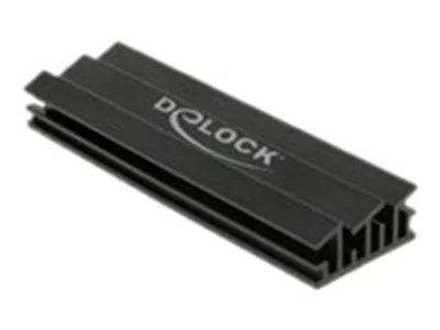 Delock - Solid State Drive Kühlkörper - Schwarz