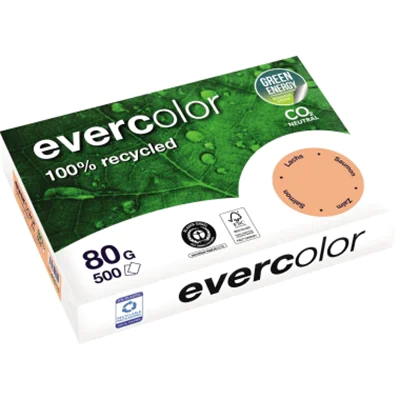 Exacompta Clairefontaine 40015C, Laser-/Inkjet-Druck, A4 (210x297 mm), 500 Blätter, 80 g/m², Blue Angel, FSC, Kunststoff 88300146