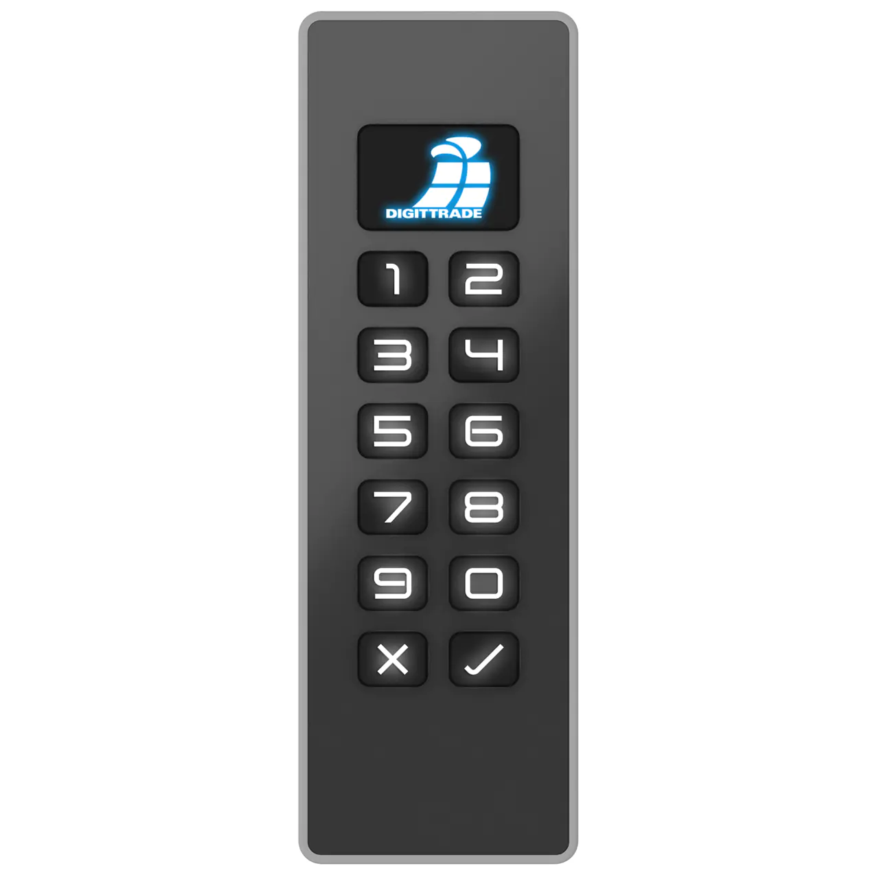 DIGITTRADE Kobra Stick Basic - USB-Flash-Laufwerk - verschlüsselt - 256 GB - USB-C 3.0