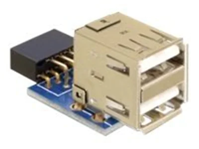 Delock - USB-Adapter (W) zu USB (W)
