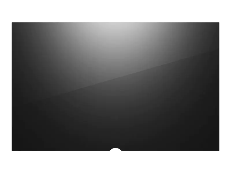 Lenovo Blickschutzfilter für Notebook - 40.6 cm (16")