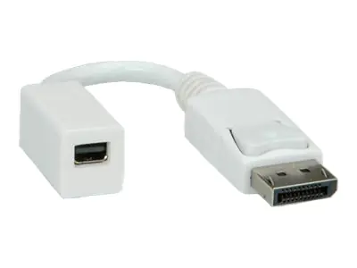Roline - DisplayPort-Adapter - Mini DisplayPort (W) zu DisplayPort (M) - 15 cm - weiß