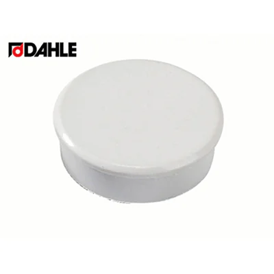 DAHLE Magnet 38mm 2,5kg grau 10 St./Pack.