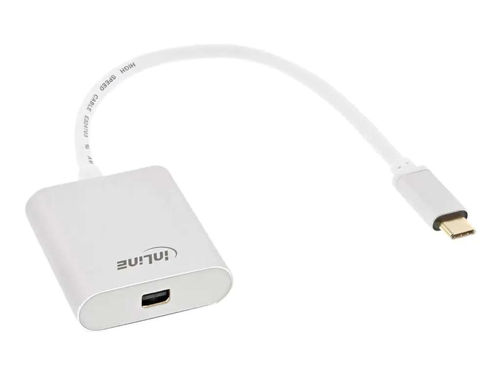 InLine - Externer Videoadapter - USB-C 3.1 - Mini DisplayPort - Silber