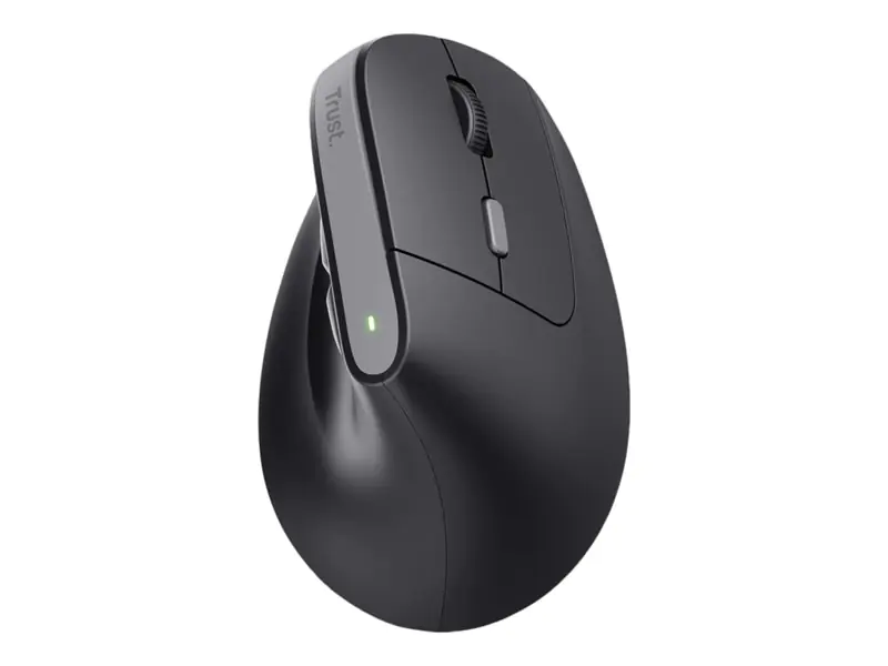 Trust TM-270 - Maus - ergonomisch - Für Rechtshänder - optisch - 6 Tasten - kabellos - 2.4 GHz - kabelloser Empfänger (USB) - Schwarz