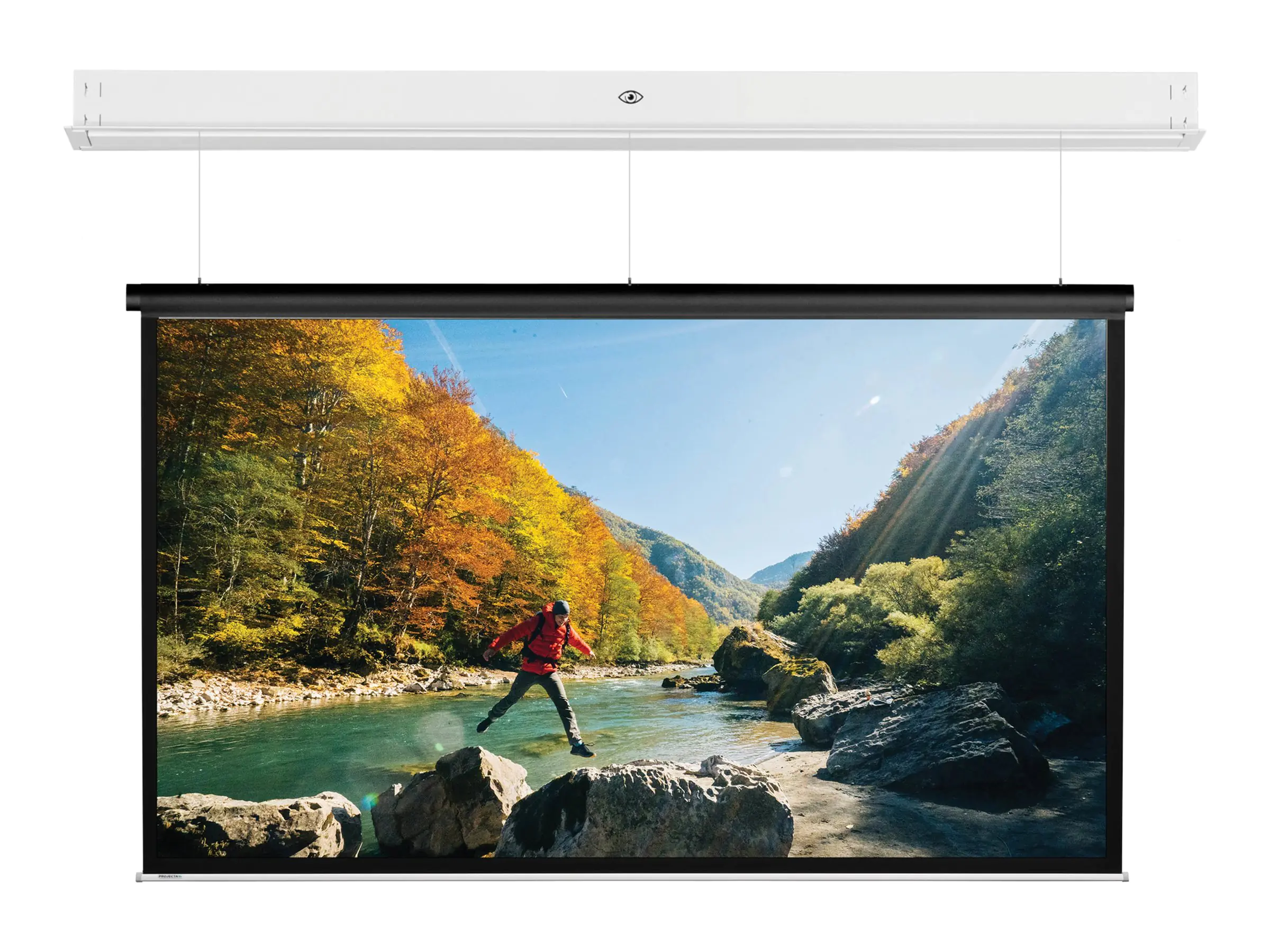 Projecta Da-Lite DescenderPro - Leinwand - Deckenmontage möglich - motorisiert - 230 V - 288