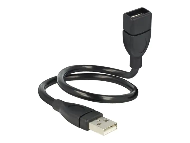 Delock ShapeCable - USB-Verlängerungskabel - USB (W) zu USB (M) - 35 cm - Schwarz