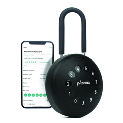 Phoenix Schlüsselbox Palm 10 x 10 x 5 cm (B x H x T) Stahl schwarz