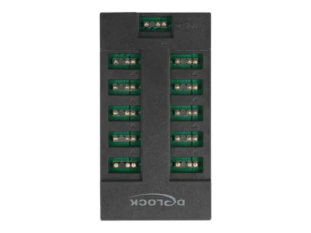 Delock - RGB LED-Licht-Hub - 10 Ports - Schwarz
