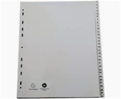 Register A4+ Tlg 1-31 PP grau 2931E A4+ PP 1-31 grau