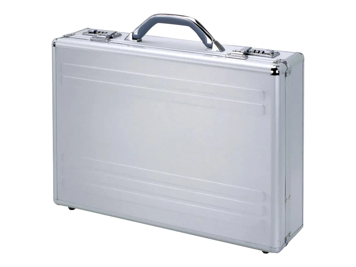 ALUMAXX Kronos - Notebook-Tasche - Silber