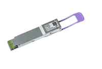 NVIDIA - Netzwerkadapter - SFP+ - Glasfaser