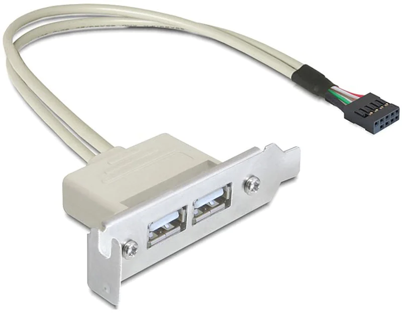 Delock Slot bracket - USB-Kabel - USB (W) zu 9-poliger USB-Header (W) - USB 2.0 - 50 cm