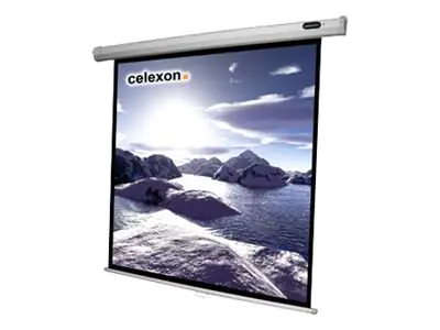 celexon Celexon Economy Manual Screen - Leinwand - 255 cm ( 100 Zoll ) 1090030