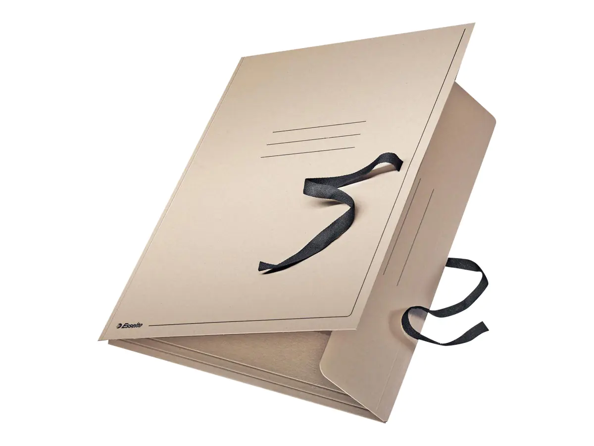 Esselte Leitz Aktenmappe mit 3 Klappen - für A2 (420 x 594 mm) 6585