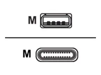 Equip - USB-Kabel - USB (M) zu 24 pin USB-C (M) - USB 3.2 - 3 A - 1 m - Schwarz