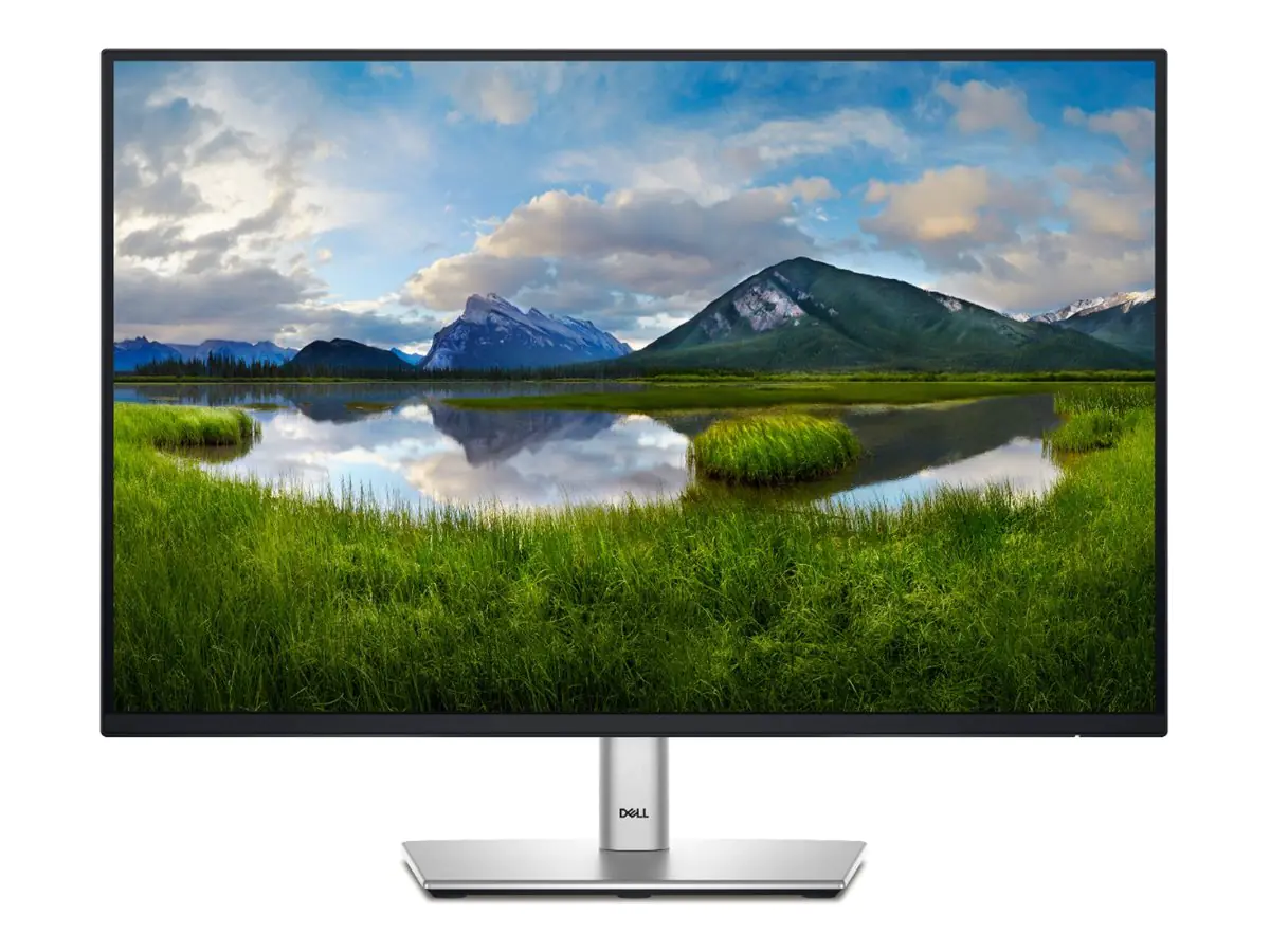 Dell P2425 - LED-Monitor - 61 cm (24") (24.07" sichtbar) - 1920 x 1200 WUXGA @ 100 Hz - IPS - 300 cd/m² - 1500:1 - 5 ms - HDMI, VGA, DisplayPort - mit 3 Jahre eingeschränkte Hardware-Garantie mit Advanced Exchange Service und Premium Panel Exchange