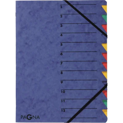 Pagna Office Easy - Gliederungsordner - 12 Fächer - 12 Teile - Rückenbreite: 5 mm - für A4 (210 x 297 mm) 24131-02