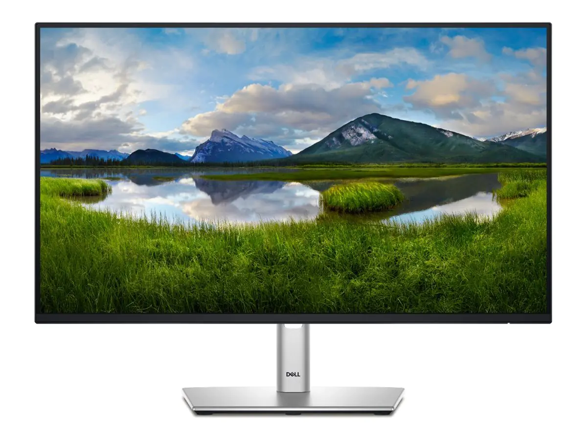 Dell P2425HE - LED-Monitor - 61 cm (24") (23.81" sichtbar) - 1920 x 1080 Full HD (1080p) @ 60 Hz - IPS - 250 cd/m² - 1500:1 - 5 ms - HDMI, DisplayPort, USB-C - BTO - mit 3 Jahre Basic Hardware Service mit Advanced Exchange nach Ferndiagnose
