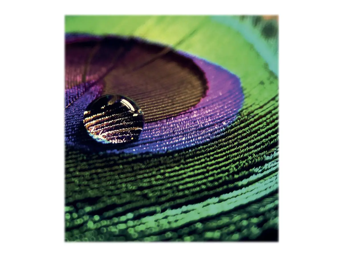 Epson Production - Fotopapier - halbglänzend - 1 Rolle (91,4 cm x 30 m) - 200 g/m² - C13S450377