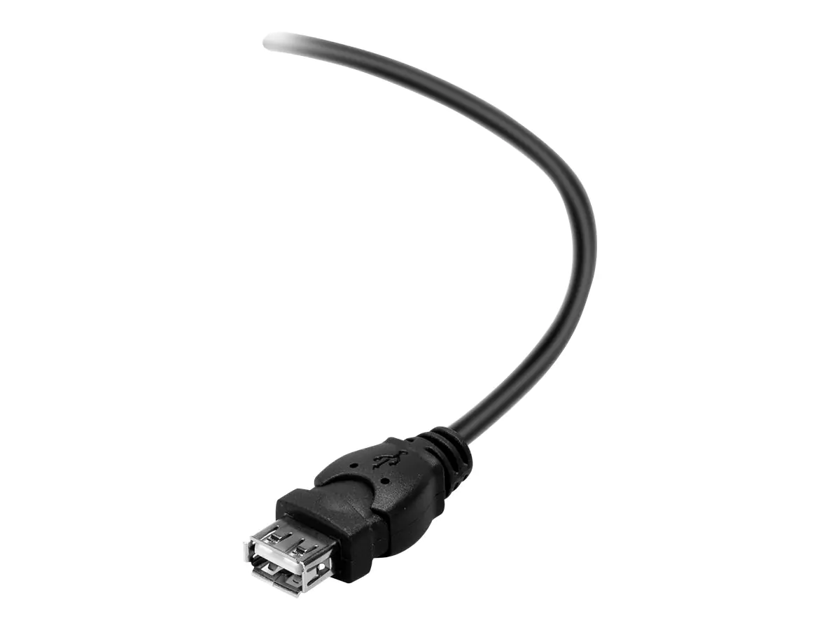 Belkin - USB-Verlängerungskabel - USB (M) bis USB (W) - USB 2.0 - 3 m