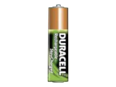 Duracell StayCharged DX2400 - Batterie 2 x AAA - NiMH - (wiederaufladbar) 203815