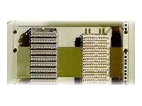 Rittal Rackmontagesatz - Hellgrau - 2U - 48.3 cm (19") 7050035