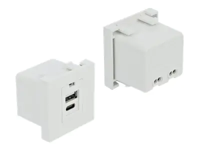 Delock - Easy 45 - USB-Ausgang - USB, USB Typ-C - einfach - 2.1 A - weiß, RAL 9003