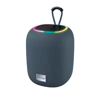 Canyon BSP-8 - Lautsprecher - tragbar - kabellos - Bluetooth - USB - 10 Watt - Graphite